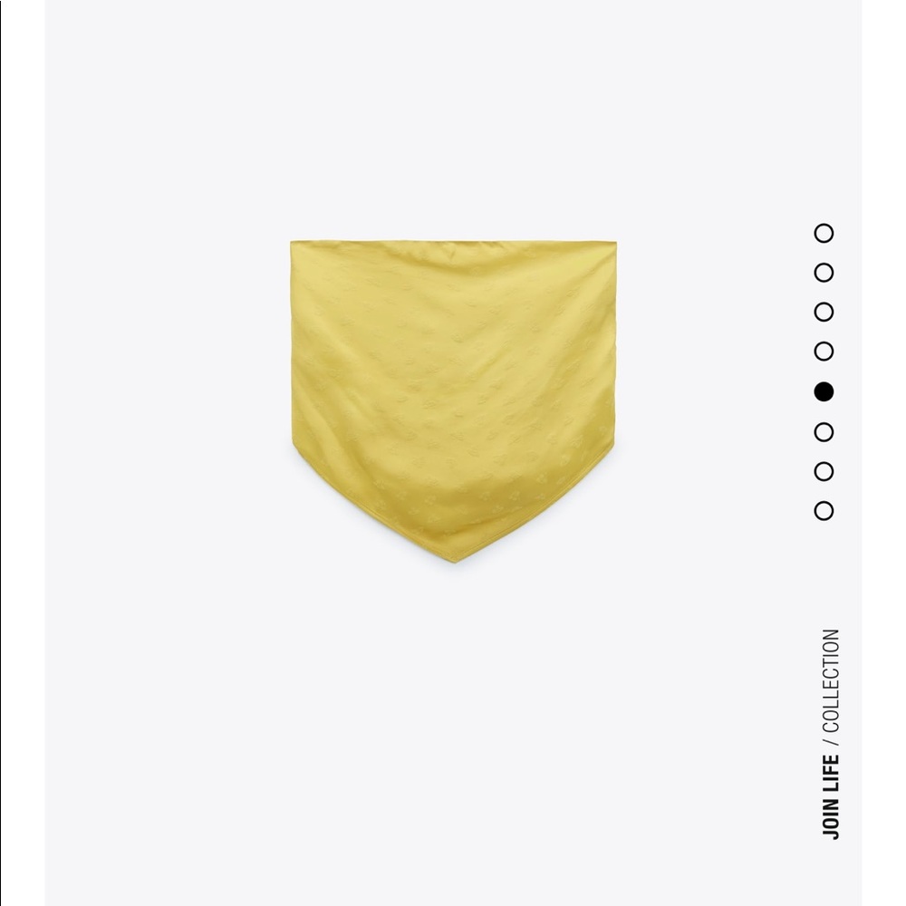 NWT Zara Bandana Top